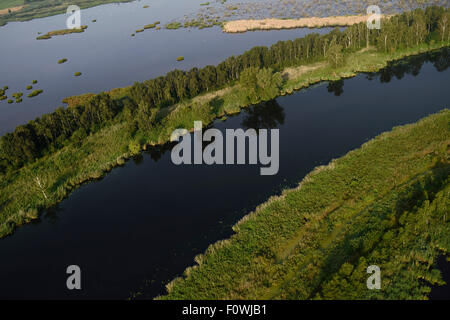 Fiume Peene e superfici inondate vicino Anklamer Stadtbruch, Anklam, Germania, Agosto 2014. Foto Stock