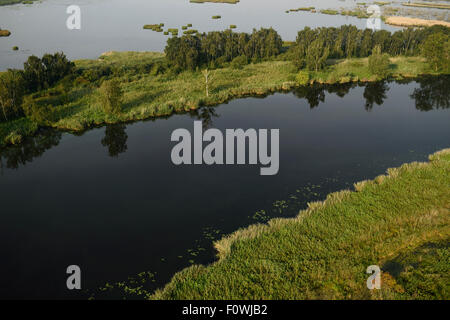 Fiume Peene e superfici inondate vicino Anklamer Stadtbruch, Anklam, Germania, Agosto 2014. Foto Stock