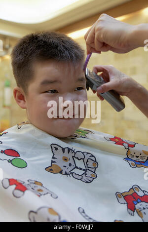 A 7 anno di età razza mista ragazzo di ottenere un taglio di capelli Foto Stock