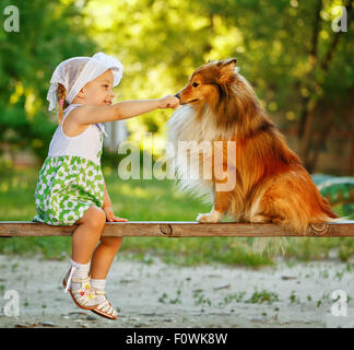 Bambina stroking cane sheltie naso, seduti su una panchina. Amicizia tra uomo e animali. Foto Stock