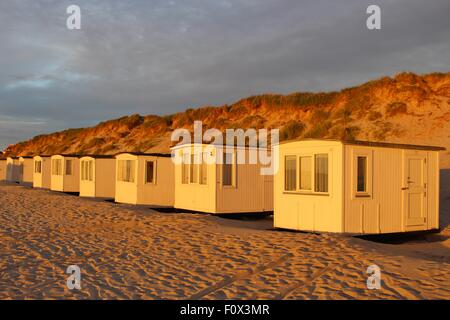 In Danimarca, Europa. Bagni sulla spiaggia di Lokken di fronte a dune di sabbia in umore serale. Foto Stock
