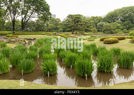 Giardino Ninomaru, i Giardini Est del Palazzo Imperiale, Tokyo, Giappone Foto Stock