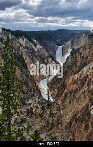 Vista superiore del Grand Canyon, Yellowstone National Pa, Wyoming USA Foto Stock