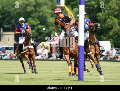 La Bledisloe Warwickshire Cup finale a Cirencester Park Polo Club - Apeshill Club ha preso su H B Polo con Apeshill eseguire eventuali vincitori del prestigioso trofeo. Dotato di: atmosfera dove: Cirencester, Regno Unito quando: 21 Giu 2015 Foto Stock