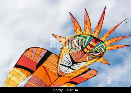 Durdham giù, Bristol, Regno Unito. Sabato 22 agosto 2015. L annuale Bristol International Kite Festival si è spostato dalla sua posizione precedente al Downs nella città. Il tempo era sorta con il blu del cielo e le temperature elevate portando fuori la folla, ma il vento leggero ha reso difficile ma non scoraggiare gli sforzi del kite club per visualizzare, molti attendng provenienti da tutto il mondo. Tutto il modo delle colorate aquiloni, bocce, le bandiere e gli striscioni sono stati che fluttua nel vento. Credito: Carolyn Eaton/Alamy Live News Foto Stock