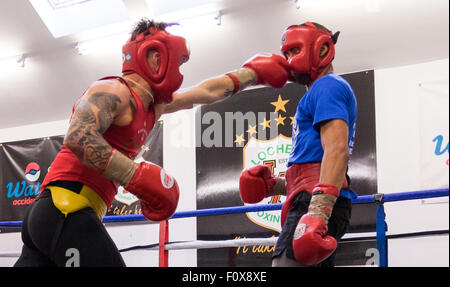 Edinburgh, Regno Unito; 22 agosto 2015; MGM Scozia Boxing formazione pubblica; Lewis Benson risparmiarsi; MGM Scozia Boxing Formazione pubblica presso la struttura Lochend Amateur Boxing Club; Mark Ingram/Alamy Live News Foto Stock