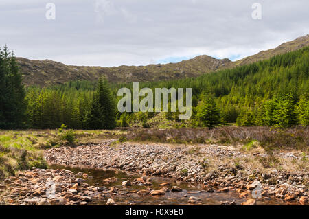 Un Allt Ghoirtein Fhearna lasciando la foresta e accesso al mare a cantare Sands, Kentra Bay, a Ardnamurchan, Scozia Foto Stock