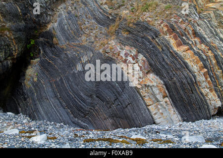 Stratificata e roccia ripiegata in una scogliera sulla costa della Bretagna, Francia Foto Stock