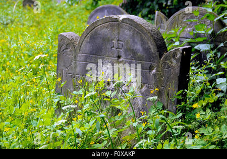 Vecchie lapidi coperte di muschio al Cimitero Ebraico a Varsavia in Polonia. Foto Stock
