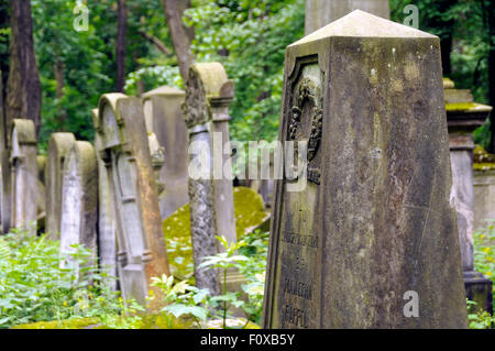 Vecchie lapidi coperte di verde a cimitero ebraico a Varsavia in Polonia. Foto Stock