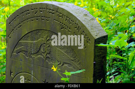 Vecchio dimenticato lapidi coperte di verde a cimitero ebraico a Varsavia in Polonia. Foto Stock