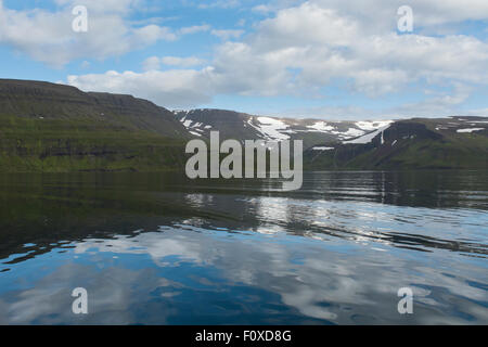 L'Islanda, Westfjords, Jokulflrdir, Lonagfjordur Riserva Naturale (66°16'33' N 22°37'15" W). Fiordo remoto riflessioni. Foto Stock