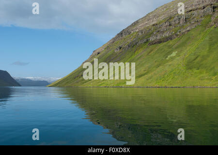 L'Islanda, Westfjords, Jokulflrdir, Lonagfjordur Riserva Naturale (66°16'33' N 22°37'15" W). Fiordo remoto riflessioni. Foto Stock