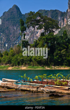 I giardini galleggianti di CHIEW ZATTERA LAN HOUSE su CHEOW EN lago in Khao Sok NATIONAL PARK - Tailandia Foto Stock