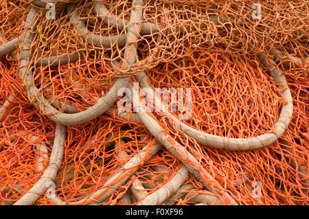 Commerciale di reti da pesca, Squalicum Harbor, Bellingham, Washington Foto Stock