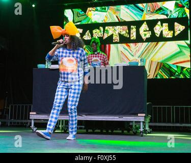 Wantagh, New York, Stati Uniti d'America. Il 22 agosto, 2015. Il cantante SANTIGOLD suona dal vivo durante la cerimonia inaugurale dei Billboard Hot 100 MUSIC FESTIVAL alla Nikon di Jones Beach Theatre in Wantagh, New York Credito: Daniel DeSlover/ZUMA filo/Alamy Live News Foto Stock