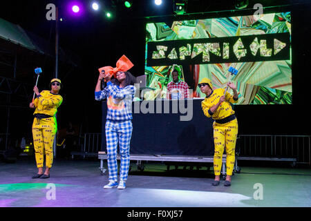 Wantagh, New York, Stati Uniti d'America. Il 22 agosto, 2015. Il cantante SANTIGOLD suona dal vivo durante la cerimonia inaugurale dei Billboard Hot 100 MUSIC FESTIVAL alla Nikon di Jones Beach Theatre in Wantagh, New York Credito: Daniel DeSlover/ZUMA filo/Alamy Live News Foto Stock