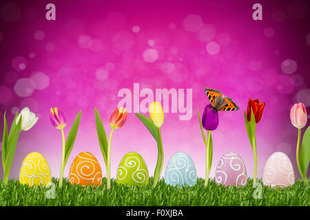 Uova di Pasqua e tulipani di fronte a sfondo rosa Foto Stock