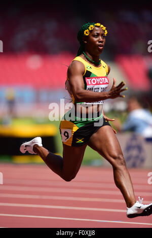 Pechino, Cina. 23 Ago, 2015. La Giamaica nella Shelly-Ann Fraser-Pryce compete durante le donne 100m riscalda presso la IAAF 2015 Campionati del Mondo a Pechino Capitale della Cina, su agosto 23, 2015. Credito: Xinhua/Alamy Live News Foto Stock