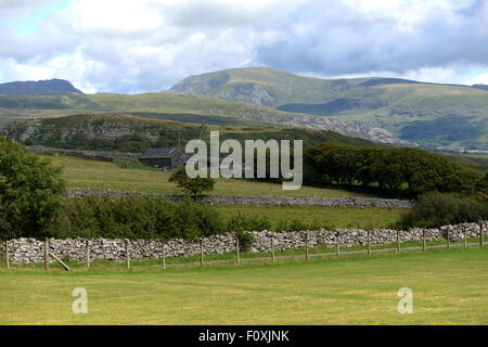 Il Rhinogydd montagne di Snowdonia da Llanfair Foto Stock