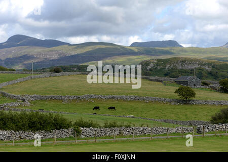 Il Rhinogydd montagne di Snowdonia da Llanfair Foto Stock