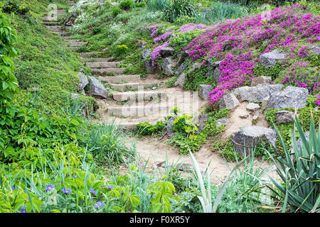 Gradini in pietra circondato da bellissimi fiori e vegetazione verde. Foto Stock