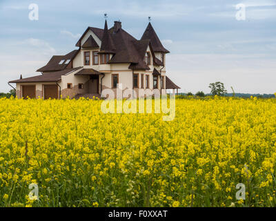 Depurato di fiori gialli sulla parte anteriore dei bug, estate cotage Foto Stock