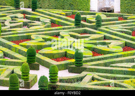 Bella e verde giardino di legno di bosso potate in forme Foto Stock