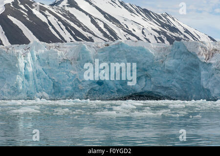 Norvegia Isole Svalbard, Spitsbergen. Liefdefjord, Monaco Glacier aka Monacobreen. Migliaia di black-kittiwakes zampe. Foto Stock