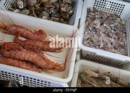 Piatti a base di frutti di mare freschi sul bianco scatole in plastica Foto Stock