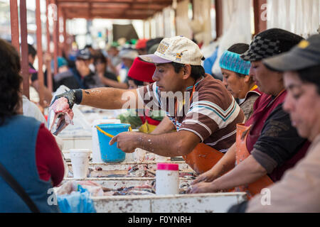 I pescatori al mercato del pesce, Caleta Portales, Valparaiso, Cile Foto Stock