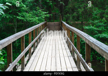 Ponte in legno sul fiume Ahja vicino Taevaskoja landmark, Estonia Foto Stock