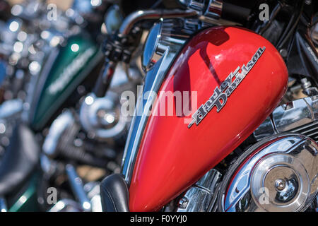 Un ritratto di close-up di un Harley Davidson ciclo motore Serbatoio carburante con fuori fuoco Harley Davidson Motor Cycles in background. Foto Stock