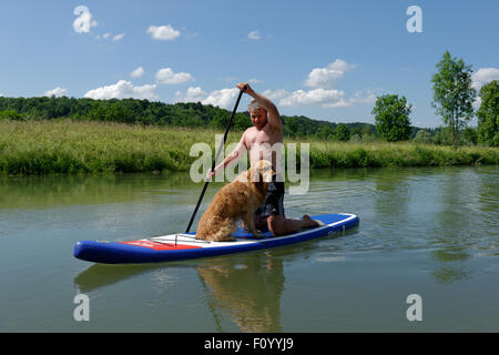 L'uomo con il suo cane su uno stand up paddle board, SUP, paddle boarding, Loisach, Alta Baviera, Baviera, Germania Foto Stock