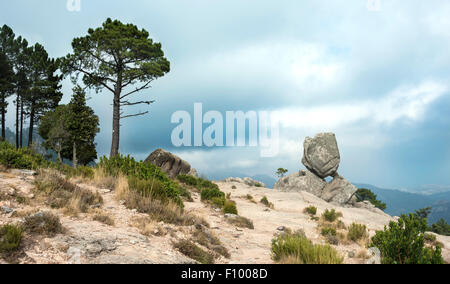 Formazione di roccia, paesaggio montano, l&#39;Ospedale Alta Rocca, Corsica, Francia Foto Stock