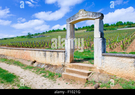 Il mercato di calcare dei vigneti Chevalier-Montrachet Puligny-Montrachet, Borgogna, Francia Foto Stock