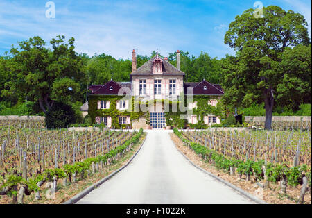 I vigneti e le château di Domaine d'Ardhuy Clos Des Langres nella Côte de Nuits in Borgogna, Francia Foto Stock