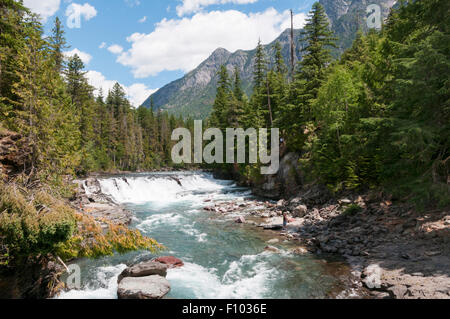 McDonald Falls, accanto al andando-per-il-Sun Road nel Parco Nazionale di Glacier, Montana, USA. Foto Stock