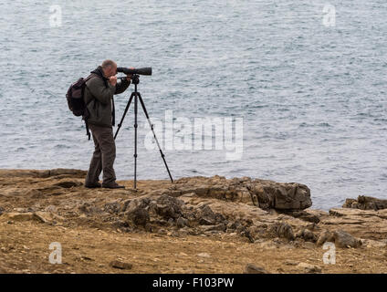 Osservazione degli uccelli utilizzando il telescopio e Treppiede sulla scogliera costiera a Portland Bill, Dorset, England, Regno Unito Foto Stock