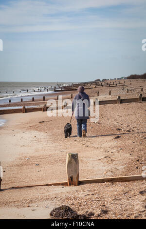 Una donna in un cappello e ricoprire le passeggiate il suo cane lungo una spiaggia di ciottoli tra pennelli di legno su una giornata di primavera in Ferring, West Sussex. Foto Stock