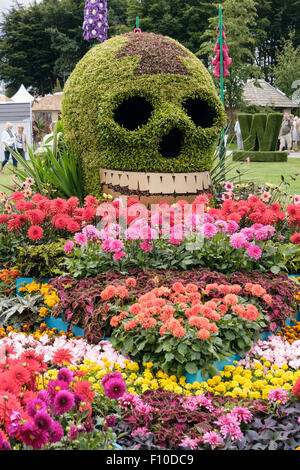 Il giorno del Fiore Dahlia bed garden display da parte del consiglio comunale di Birmingham a RHS Cheshire Flower Show Tatton Park, England, Regno Unito Foto Stock