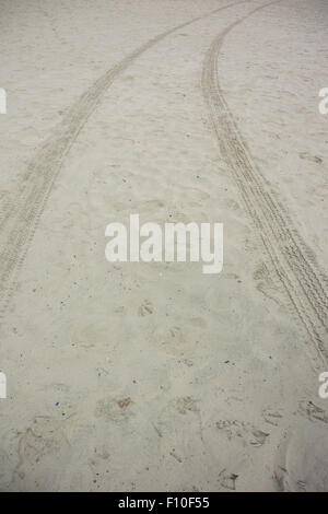 Tracce di pneumatici residui da un auto guidando lungo la spiaggia in California Foto Stock