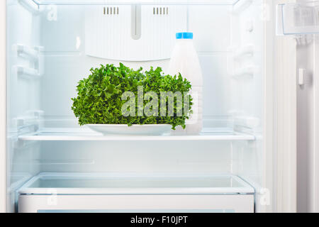 Insalata verde sulla piastra bianca e una bottiglia di vetro di yogurt in aprire il frigorifero vuoto. Perdita di peso la dieta concetto. Foto Stock