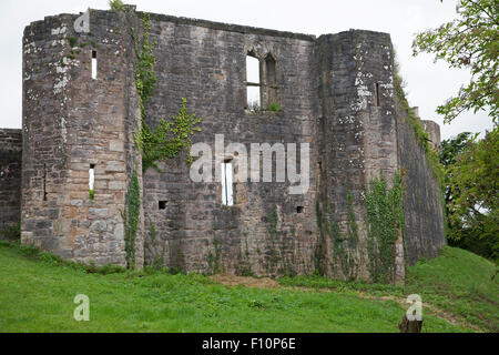 Caldicot Castle è un restaurato castello normanno con pavimenti in legno e un country park con kids' eventi, shop e sala da tè. Foto Stock