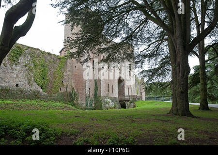 Caldicot Castle è un restaurato castello normanno con pavimenti in legno e un country park con kids' eventi, shop e sala da tè. Foto Stock