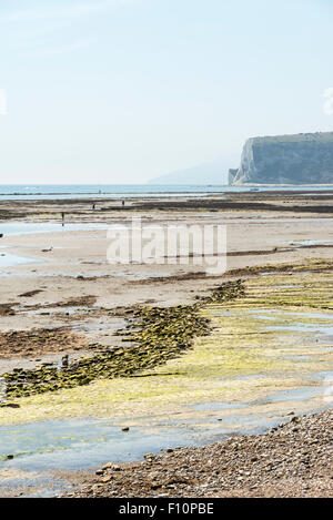 La riva del mare con la bassa marea a Bembridge Isle of Wight REGNO UNITO Foto Stock