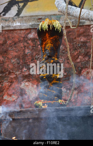 Indù dio serpente Nagaraja statua conservata su una piattaforma elevata essendo adorato Foto Stock