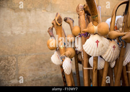 Bastoni da passeggio con il guscio che rappresenta il Camino de Santiago Foto Stock