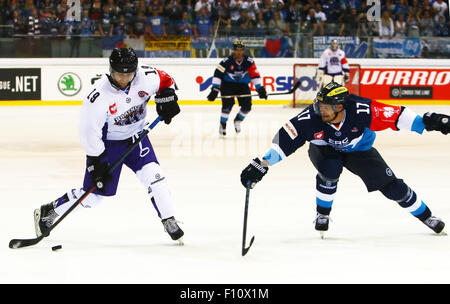 Ingolstadt, Baviera, Germania. 22 Ago, 2015. Da sinistra Thomas NESBITT (Glasgow), Petr TATICEK (Ingolstadt/CZ), .Hockey Champions League Match Day 2.ERC Ingolstadt vs Braehead Cland Glasgow, .Ingolstadt, Saturn Arena, Agosto 23th, 2015.48 di squadre di dodici paesi europei prendere parte al Hockey Champions League, infine il preferito team tedesco vince 5:2 oltre il team di Glasgow. © Wolfgang Fehrmann/Wolfgang Fehrmann/ZUMA filo/Alamy Live News Foto Stock