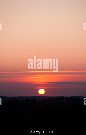 Sun impostazione sulla foresta Foto Stock